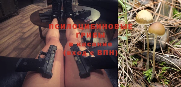 гидропоника Алзамай
