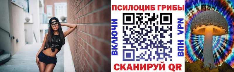 Псилоцибиновые грибы Cubensis  blacksprut ССЫЛКА  Неман 